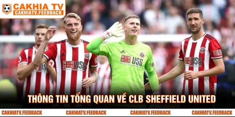 Thông tin tổng quan về CLB Sheffield United